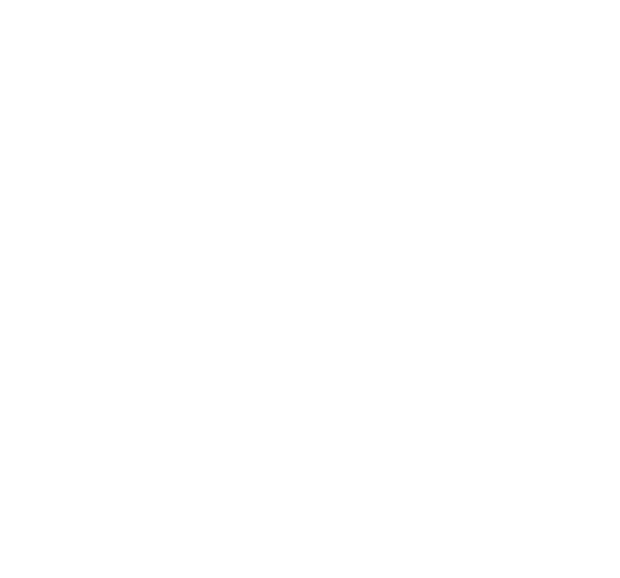 Viking Helmet